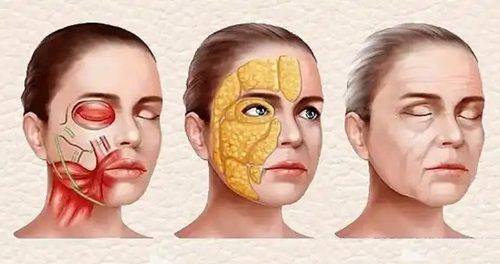 刘进德医生坐诊医院