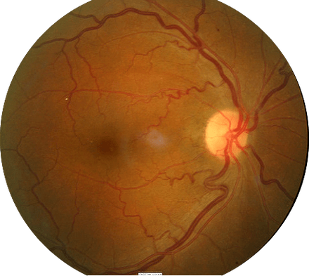 上海未来视界安融眼科门诊（静安店）地址电话营业时间