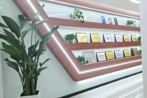 韦淼桠医生价格表