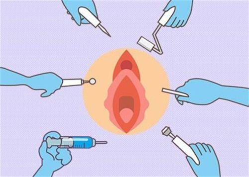 戴浩医生价格表