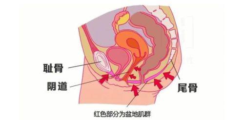 覃寿安医生技术优势