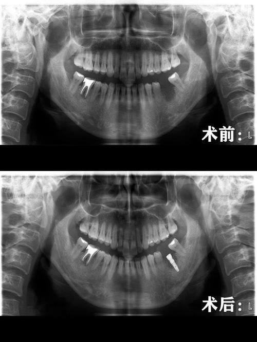 欧忠辉医生执医荣誉