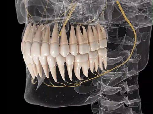 青岛爱齿乐口腔门诊是正规医院吗？