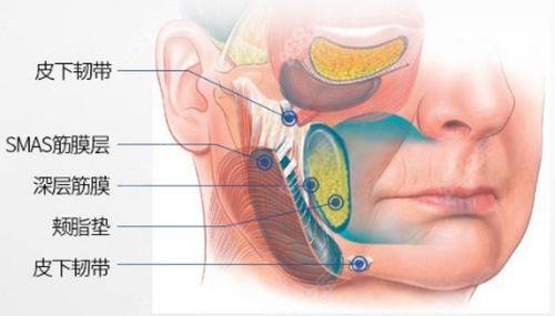陈静医生坐诊医院