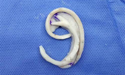 石家庄市第一人民医院整形美容中 心收费价格表/收费标准