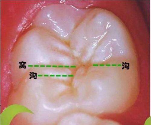 安阳滑县正大口腔医院收费价格表/收费标准