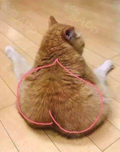 石家庄市第一人民医院整形美容中 心详细的预约挂号方式及流程