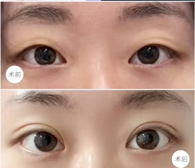 张亚力医生执医荣誉