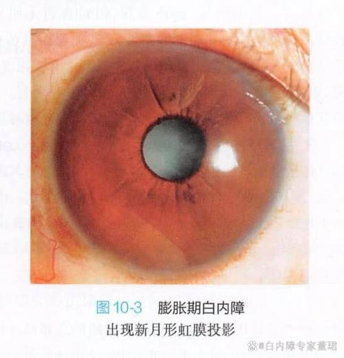 鹰潭市中医院眼科地址电话营业时间