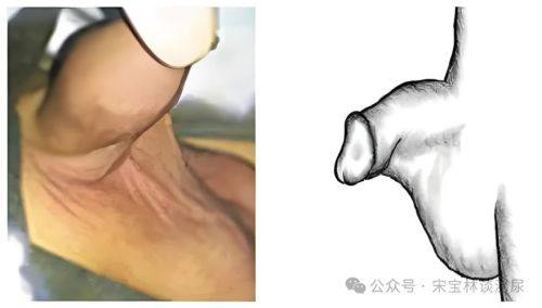 温州市瓯海梦露医疗美容门诊部真人口碑评价怎么样?