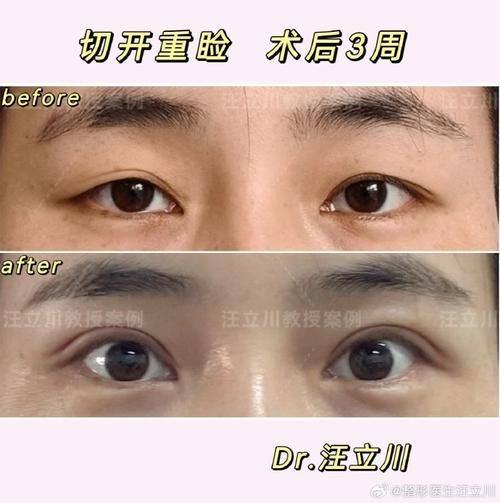 肖文明医生执医荣誉