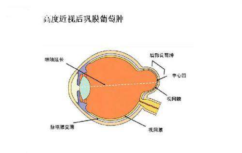辽宁省金秋医院眼科地址电话营业时间