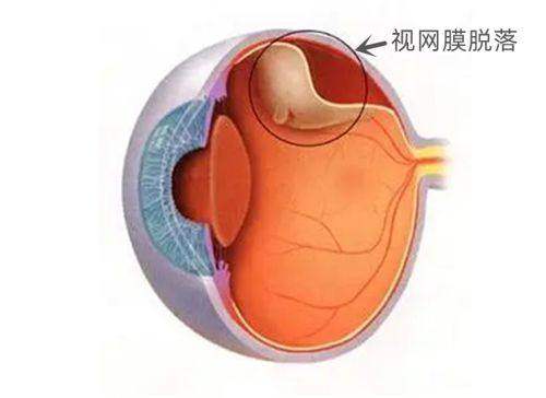 辽宁省金秋医院眼科