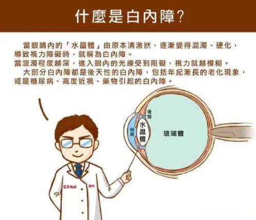 陈镇燕坐诊的医院