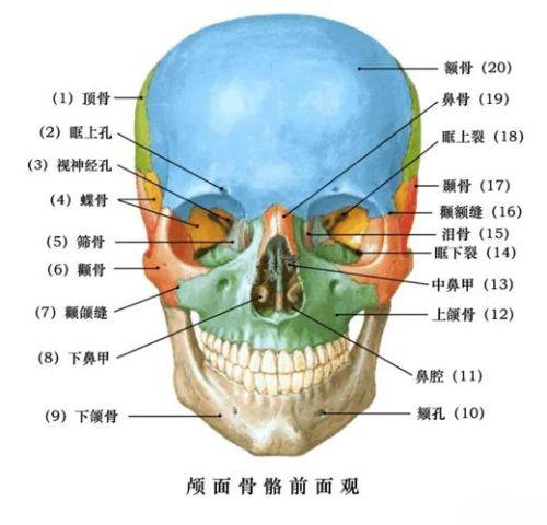 北京美冠塔口腔连锁(新兴桥分院)乘车路线